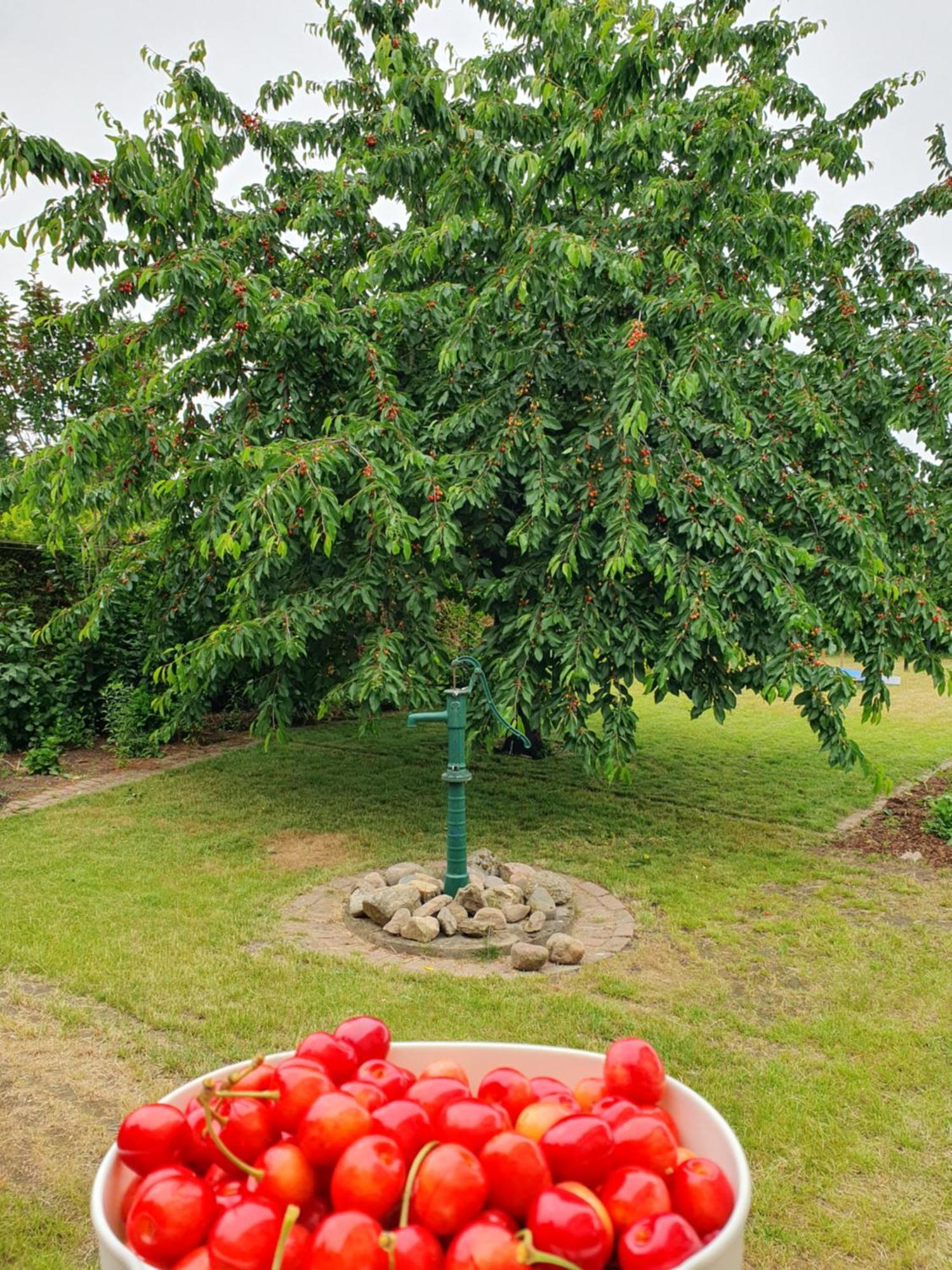 Neumuehler Hof Ferienwohnung "Stefan" Bietet 4 Schlafzimmer Und 4 Baeder , Eine Grosse Badewanne Und Grosser Terrasse Zum Garten, Kostenfreie Parkmoeglichkeiten Schwerin  Exterior foto